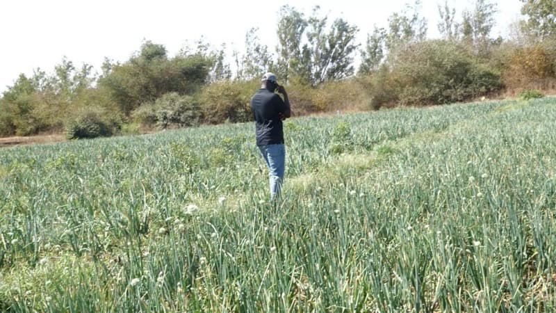 Photo de Fallou Sylla